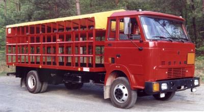 star1142.jpg